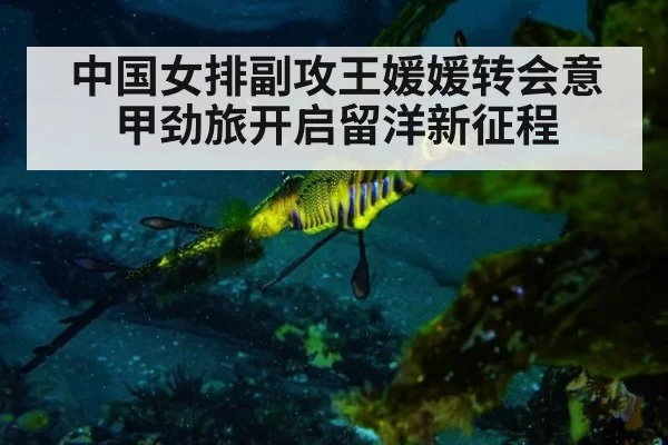 中国女排副攻王媛媛转会意甲劲旅开启留洋新征程